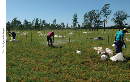 Ciência ajuda a aproveitar lodo de tratamento de água na agricultura